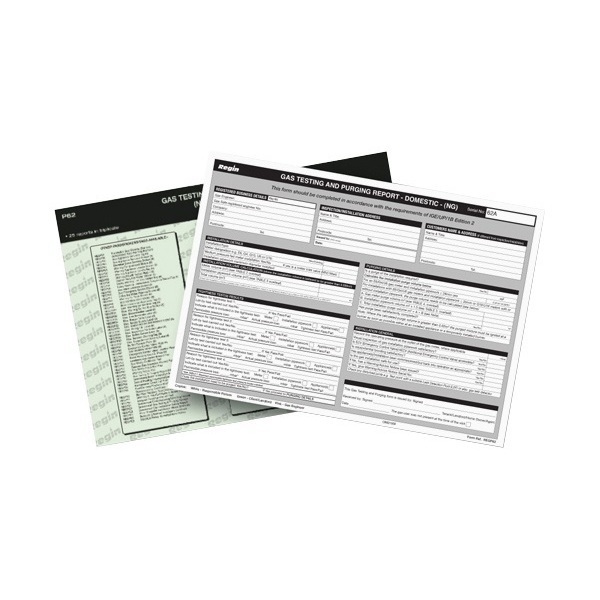 Regin Gas Testing And Purging - Domestic Regp62