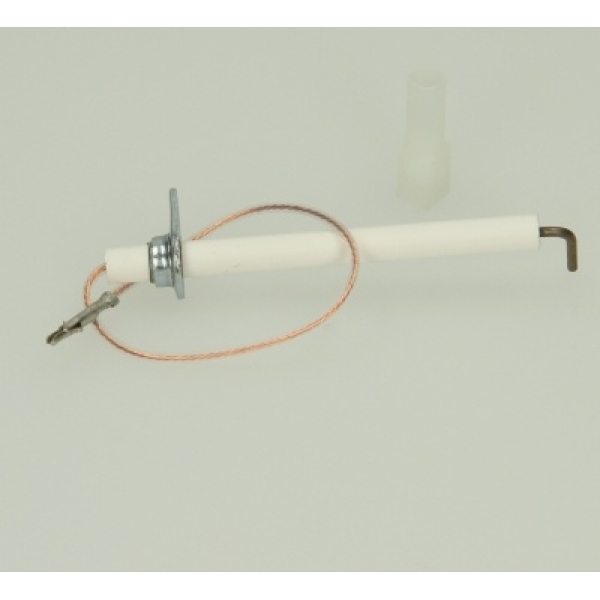 Biasi Detection Electrode Bi1123102