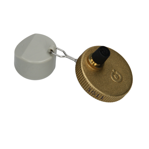 CHAFFOTEAUX AIR SEPARATOR HEAD ASSY 60081842
