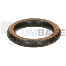 Chaffoteaux O-Ring D: 17-4 60024164-51