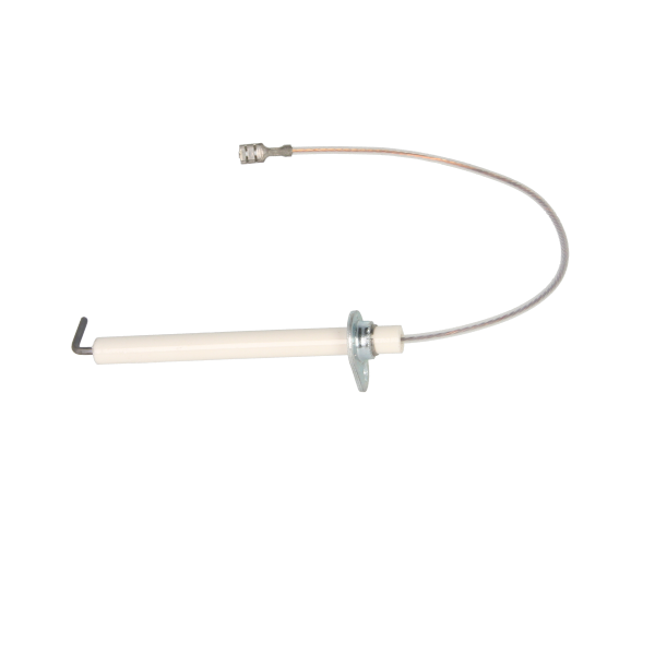 Detection Electrode BI1013102