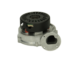 Glowworm Fan 0020020734