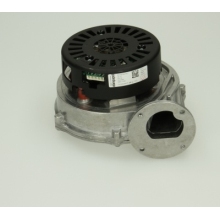 Glowworm Fan 0020037309