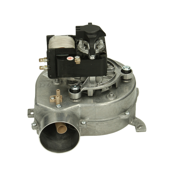 Glowworm Fan 0020061578