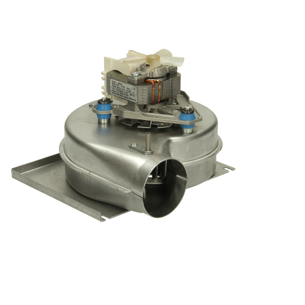 Glowworm Fan 2000800430