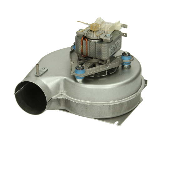 Glowworm Fan 2000800478