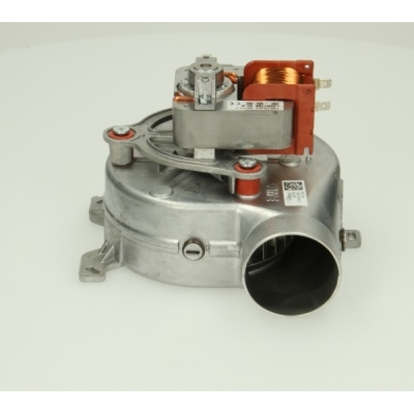 Glowworm Fan D003200020