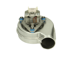 Glowworm Fan S227033