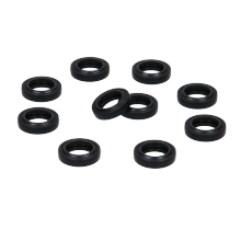 Glowworm Gasket Type C (X10) 0020014166