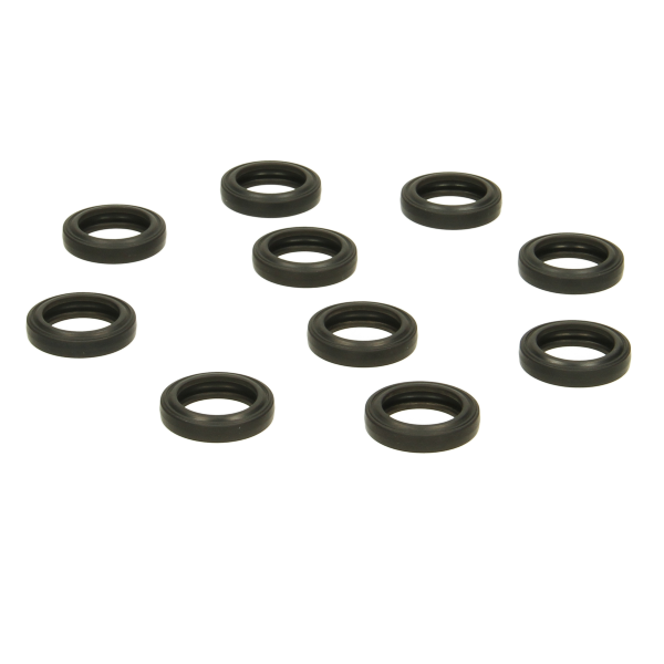 Glowworm Gasket, Type C, (X10) 0020014182