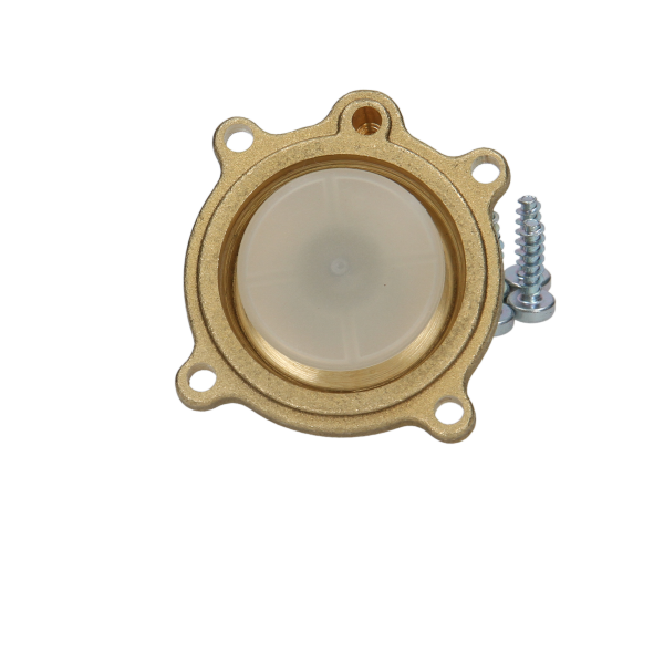 Glowworm Membrane Cover S801201