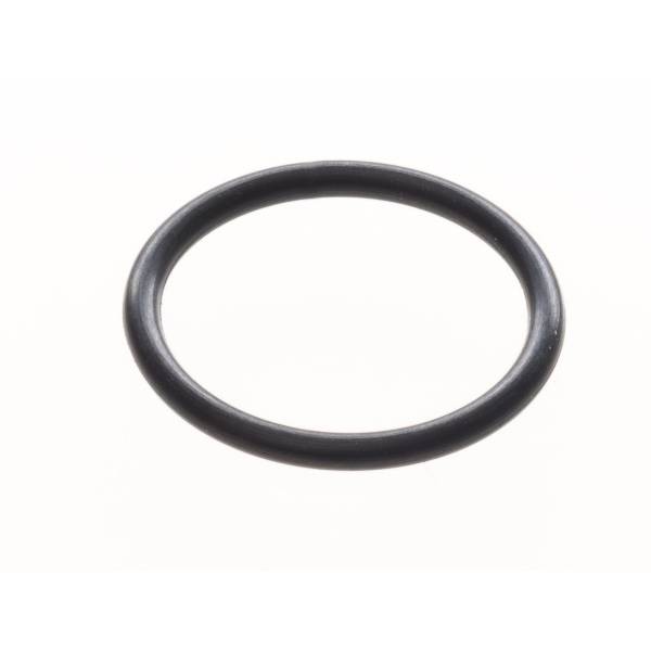 Intergas 19X2Mm O-Ring 875827