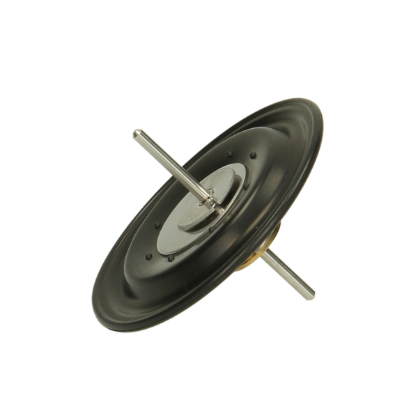 REGC50 Diaphram