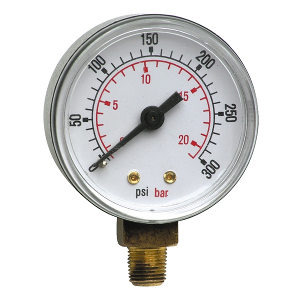 Regin Pressure Gauge - 0-300 psi