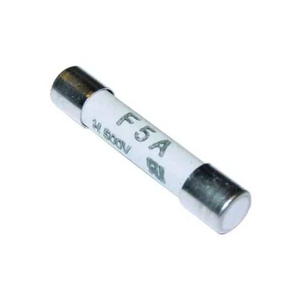 Regin Quick Blow Ceramic Fuse - 32Mm 5A (Pack Of 2) Regq148