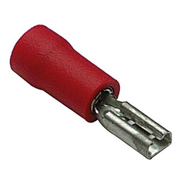 REGQ220 FEMALE CONNECTOR RED IGN LD PK10