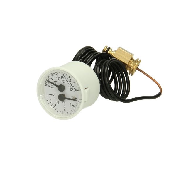 Sime Temperature And Pressure Gauge 6217006