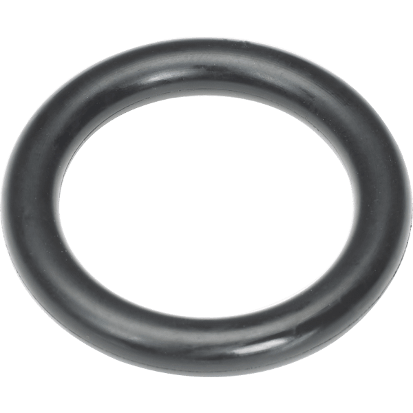WOR87161138330 O RING