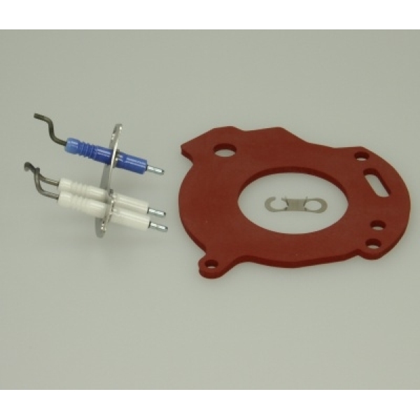 Worcester Electrodes (For Ri) 87161163810